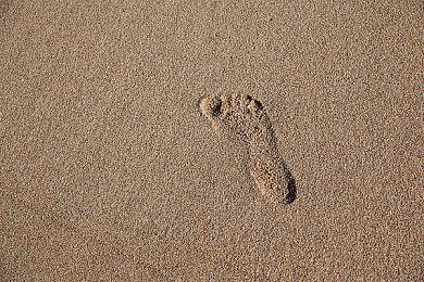 《终结者2D：NO FATE》澳洲通过评级 计划登陆全平台